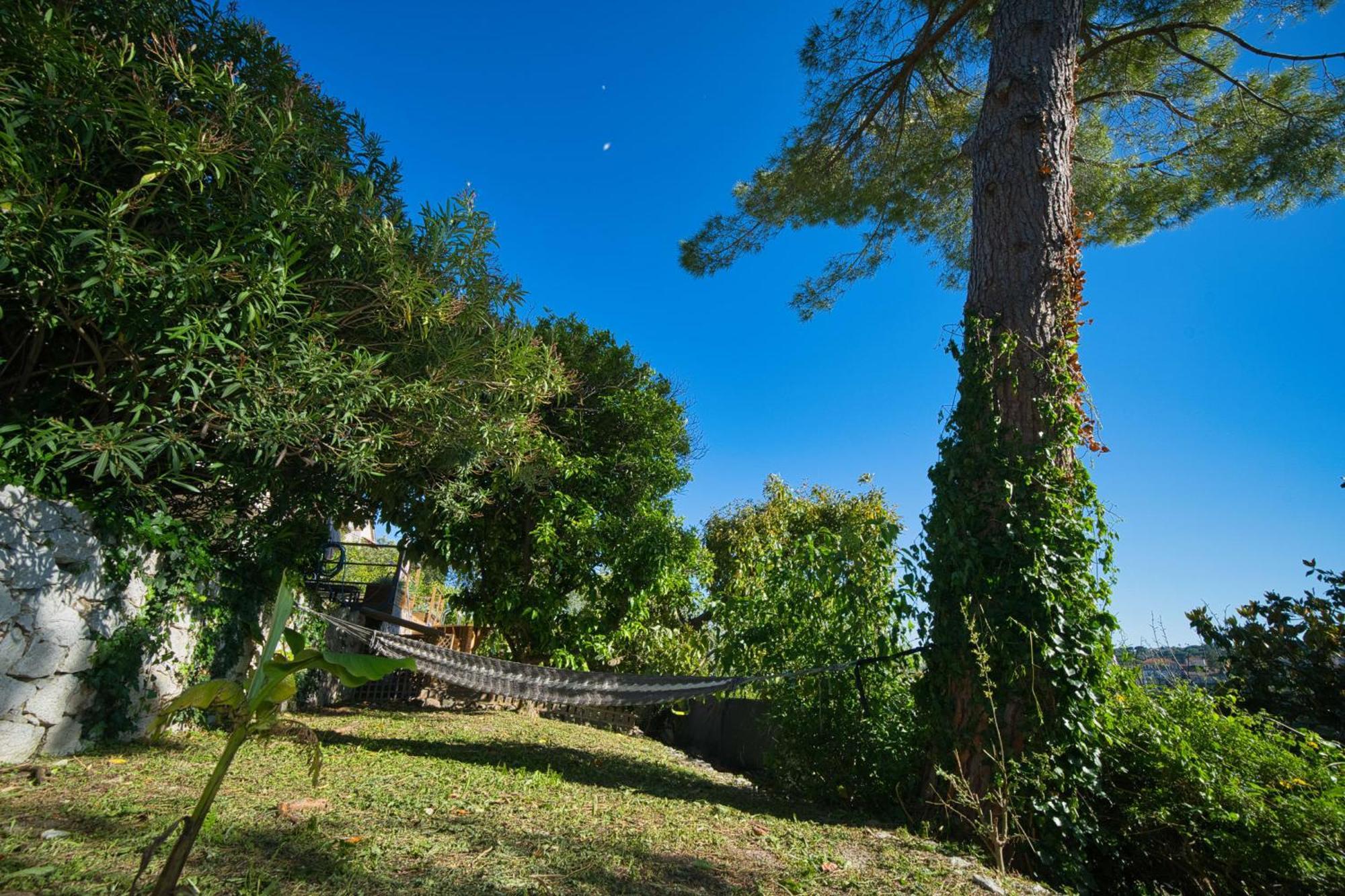 06Q - Biot Beautiful Provencal Villa With Swimming Pool Екстер'єр фото
